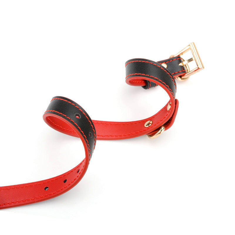 Velvet Bond Leather Collar and Leash Set