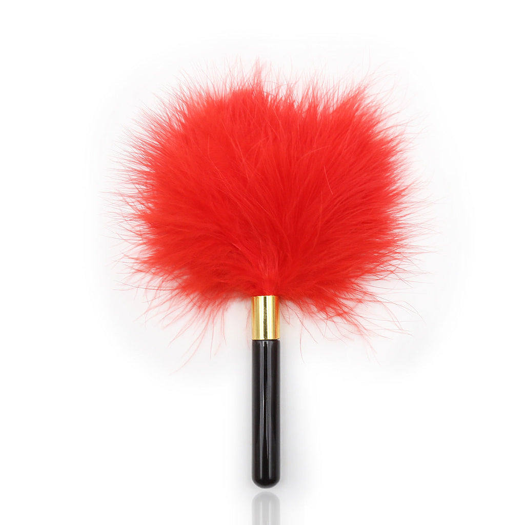 Set di accessori intimi in pizzo e piume Whispered Caress