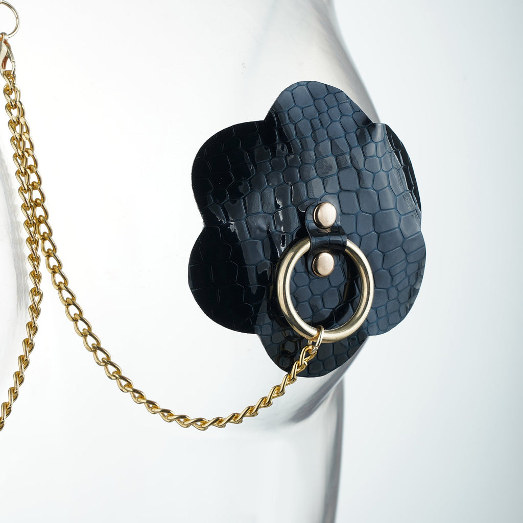 Gilded Allure Nipple Covers and Gold Chain Collar